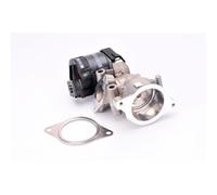 Delphi Valvola Egr Psa Eg10396-12B1