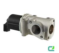 HELLA 6NU 010 171-331 Valvola EGR