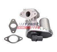 FAST Valvola EGR per Fiat Ducato Scatola 250_290_250 Ford Transit Fa _