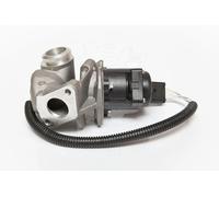 ESEN SKV 14skv067 AGR di valvole