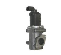 Magneti Marelli Valvola EGR 571822112004 per Alfa Romeo, Fiat, Lancia