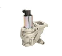 Valvola EGR MAGNETI MARELLI 571822112044 per LAGUNA II (BG0/1_) 1.9 2001-2007