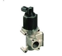 Valvola EGR MAGNETI MARELLI 571822112065 per FIAT PUNTO (188_) 1.9 1999-2012
