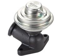 Magneti Marelli 571822112102 Valvola EGR Citroen, Fiat, Lancia