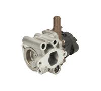 Valvola EGR MEAT & DORIA 88858