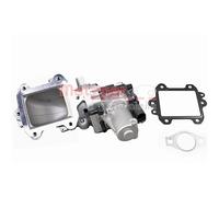 Valvola EGR Metzger per Hyundai H-1