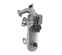 Valvola EGR motori Per Nissan NP300 Per Navara D40 Per Pathfinder Cabstar F24 2.5 2004-2015 2016 2017 2018 2019 2020 Pickup 2.5 DCi 4WD 147355X00B Raffreddatore EGR