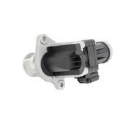 Valvola EGR motori Per Wingle Per La Modifica Europea Gruppo Gas Di Scarico EGR H3H5 Valvola Ricircolo