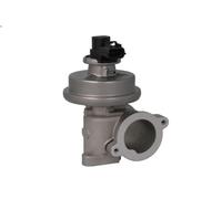 Valvola EGR NISSENS 98420 per JAGUAR X-TYPE I (X400) 2 2003-2009