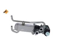 Nrf 48214 Valvola Egr