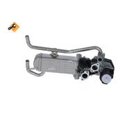 Valvola EGR NRF 48215
