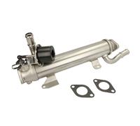 Modulo EGR EASY FIT NRF 48314