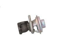 Valvola EGR NRF 48393 per IVECO DAILY IV Furgone 3 2009-2011