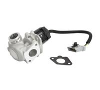 Valvola EGR NRF 48397