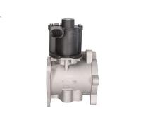 Valvola EGR NRF 48630 VW TOUAREG (7LA, 7L6, 7L7) 2.5 2003-201