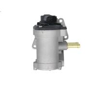Valvola EGR NRF 48666 per VW EOS (1F7, 1F8) 1.6 2006-2008
