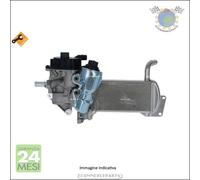 Valvola EGR NRF per OPEL INSIGNIA A ASTRA J ZAFIRA