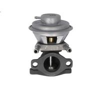 Valvola EGR NTK 91346 IVECO DAILY IV Furgone 2.3 2006-2011