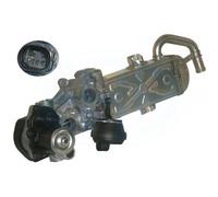 Valvola EGR per Audi A3 Q3 TT VW Passat Cabrio Caddy III Golf VI Sharan Skoda