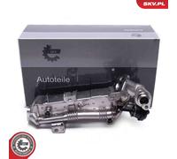 Valvola EGR per BMW 1 2 3 4 5 6 7 X1 X3 X4 X5 X6