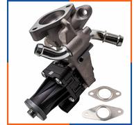 NTY Valvola EGR per Ford Ranger Tke 3.2 TDCI 4x4 2.2 Transit Custom Scatola Fa _
