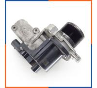 Valvola EGR per HYUNDAI | XEGR182, 555216
