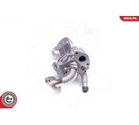 Valvola EGR per NISSAN CABSTAR NAVARA NP300 NT400 CABSTAR PATHFINDER