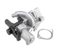 NTY EGR-NS-015 Valvola EGR