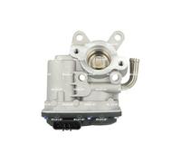 Valvola EGR per NISSAN RENAULT RENAULT TRUCKS ATLEON CABSTAR MASCOTT MASTER PRO