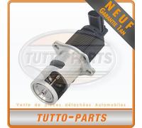 Valvola EGR Per Renault Avantime Espace Laguna Master Trafic Velsatis Opel
