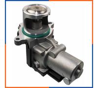 NTY EGR-VW-006 Valvola EGR