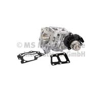 Pierburg Valvola EGR 7.06036.15.0 con guarnizione per Ford Ranger (TKE)