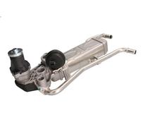 Valvola EGR PIERBURG 7.09720.02.0 per VW POLO V (6R1, 6C1) 1.2 2009-2014