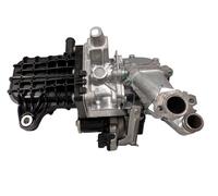 Valvola EGR + Radiatore (Komplett-Teil) Adatto per Citroen Peugeot 2.0 HDI
