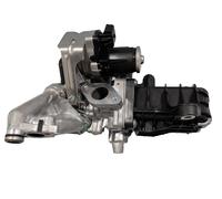 Valvola EGR + Radiatore (Komplett-Teil) Adatto per Peugeot 2.0 HDI 9807593080