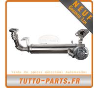 Valvola EGR + Refrigeratore Fiat per Iveco Daily - 2.3D JTD