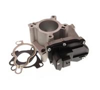 Valvola EGR Ricircolo Del Gas di Scarico per Nissan Qashqai + 2 I x-Trail
