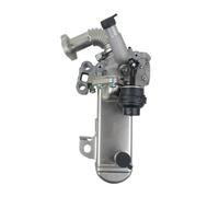 Valvola EGR Ricircolo Gas Raffreddatore EGR Per Nissan Per NP300 Per Navara Per Pathfinder Per Cabstar 2.5 511702921 147355X00