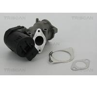 Triscan Valvola EGR 8813 10001 elettrica per Ford, Volvo, Peugeot, Fiat, Citroën, Lancia