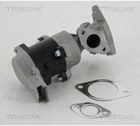 Valvola EGR TRISCAN 8813 10008 per LAND ROVER RANGE ROVER