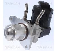 Valvola EGR TRISCAN 8813 11001 per BMW Série 1 2.0 118 d