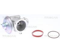 Valvola EGR TRISCAN 8813 11003 per BMW Série 3 2.0 320 d