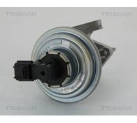 Triscan Valvola aria secondaria 8813 16045 con comando a depressione per Ford Transit/Tourneo