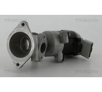 Valvola EGR TRISCAN 8813 17020 per LAND ROVER RANGE ROVER