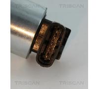 TRISCAN 8813 24102 Valvola EGR