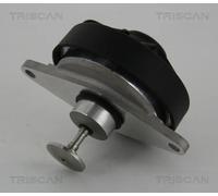 Valvola EGR TRISCAN 8813 24202 per OPEL VECTRA 2.2 DTI 16V (F68)