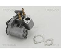 Valvola EGR TRISCAN 8813 29017 per VW GOLF 1.6 FSI