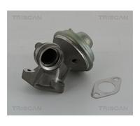 Valvola EGR Triscan per Citroen Ford Peugeot