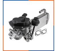 NTY EGR-AU-037 Radiatore EGR