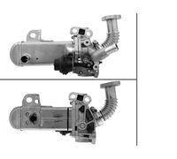 Valvola EGR VALEO 700452 per NISSAN NAVARA 2.5 dCi 4WD 4x4